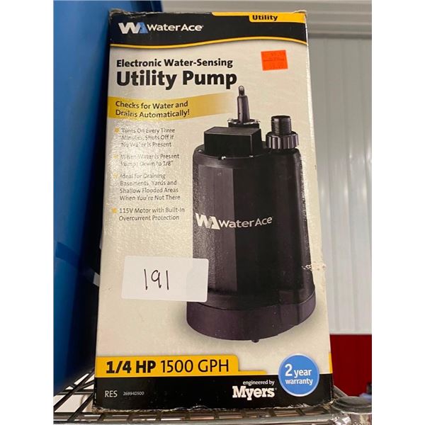 ELECTRONIC UTILITY PUMP