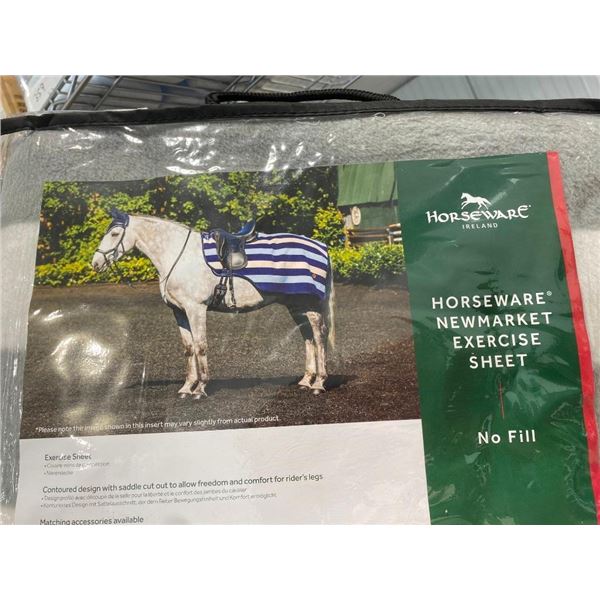 HORSE EXERCISE SHEET