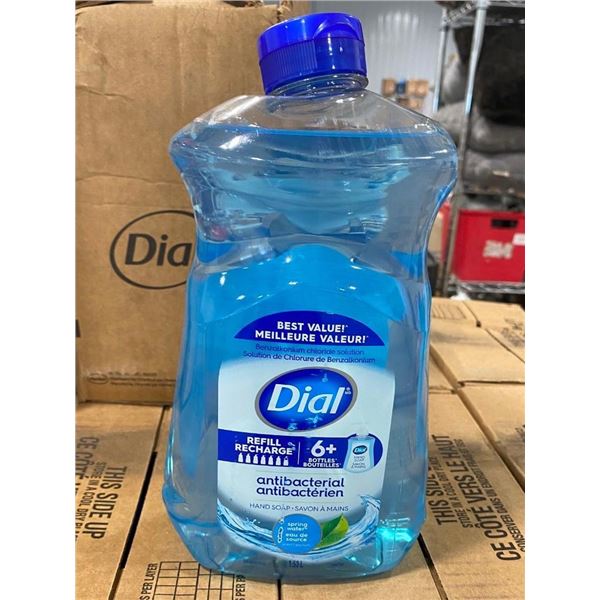 6 BOTTLES OF DIAL HAND SOAP