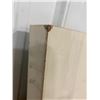 Image 2 : 26X80IN DOOR PANEL - HAS SCUFFS AS SEEN IN PIC