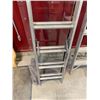Image 2 : 24FT EXTENSION LADDER