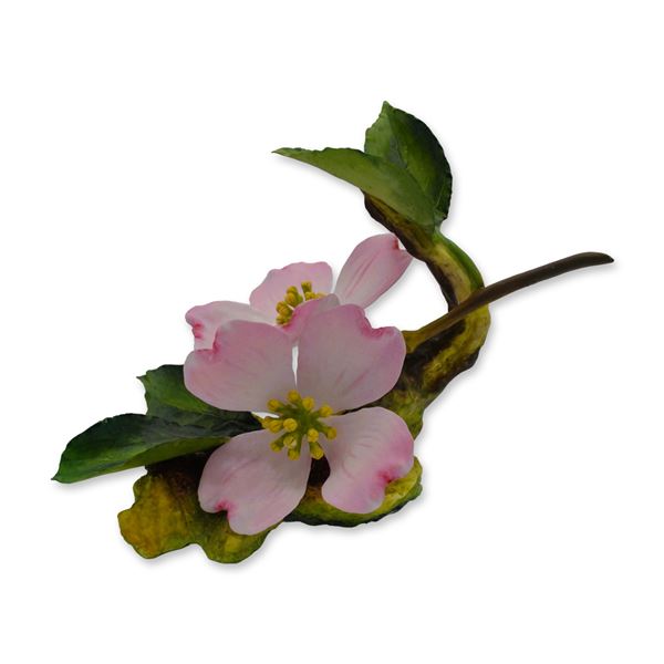 Connoisseur Porcelain Sculpture Pink Dogwood Floral Prototype Model AP, 1996