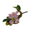 Image 1 : Connoisseur Porcelain Sculpture Pink Dogwood Floral Prototype Model AP, 1996