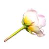 Image 1 : Connoisseur Porcelain Sculpture Masterpiece Pink Rose Prototype Model AP, Rare