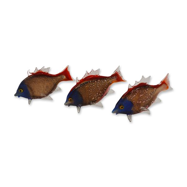 3Pc Murano Art Glass Multi-Color Tropical Fish Collection