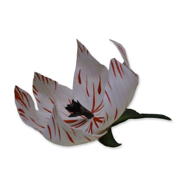 Connoisseur Porcelain Sculpture Red/White Tulip Floral (Fleur Cowles) Signed By D. Lewis