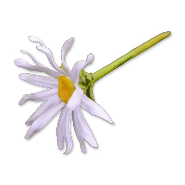 Connoisseur Porcelain Daisy Flower On Long Stem, Prototype Model, AP2