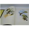 Image 3 : John Gould's Hummingbirds Hardcover Book, 1990