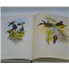 Image 4 : John Gould's Hummingbirds Hardcover Book, 1990