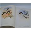 Image 5 : John Gould's Hummingbirds Hardcover Book, 1990