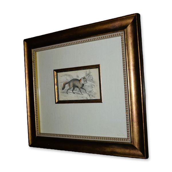 Lizars American Cross Fox, Hand Colored Engraving, Custom Frame, 19th C