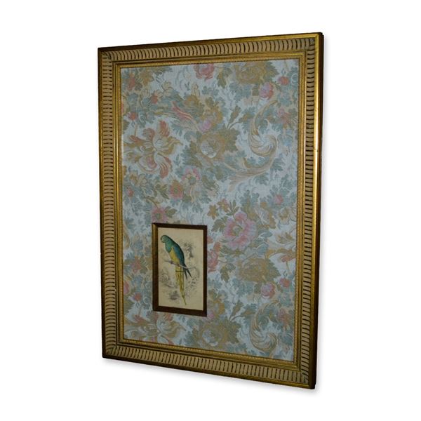 Lizars Parrot, Nanodes Venustus, Hand Colored Engraving, Tapestry Mat, Custom Frame, 19th C