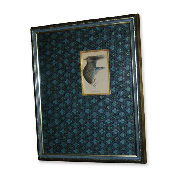 Lizars Variegated Plantain Eater Bird, Hand Colored Engraving, Tapestry Mat, Custom Frame, 19th C