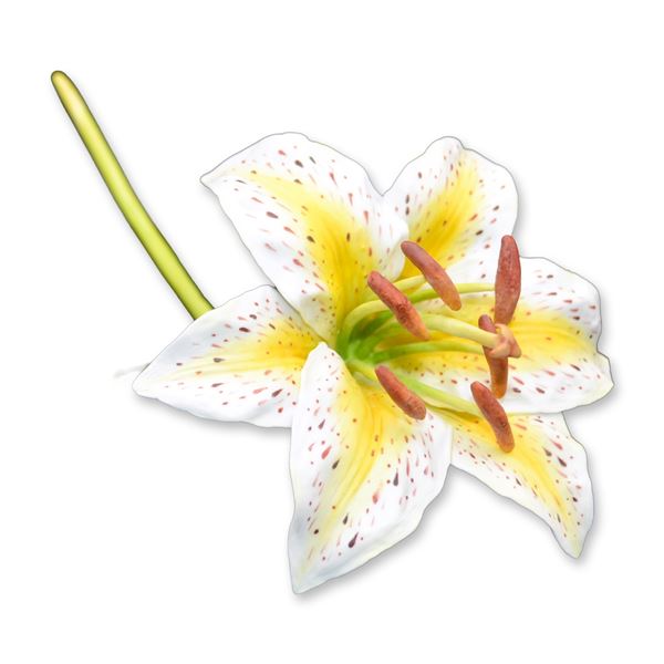 Connoisseur Porcelain Multi-Color Lily On Long Stem Prototype Model AP