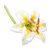 Image 1 : Connoisseur Porcelain Multi-Color Lily On Long Stem Prototype Model AP