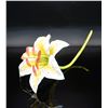 Image 2 : Connoisseur Porcelain Multi-Color Lily On Long Stem Prototype Model AP