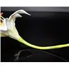 Image 4 : Connoisseur Porcelain Multi-Color Lily On Long Stem Prototype Model AP