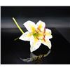 Image 5 : Connoisseur Porcelain Multi-Color Lily On Long Stem Prototype Model AP