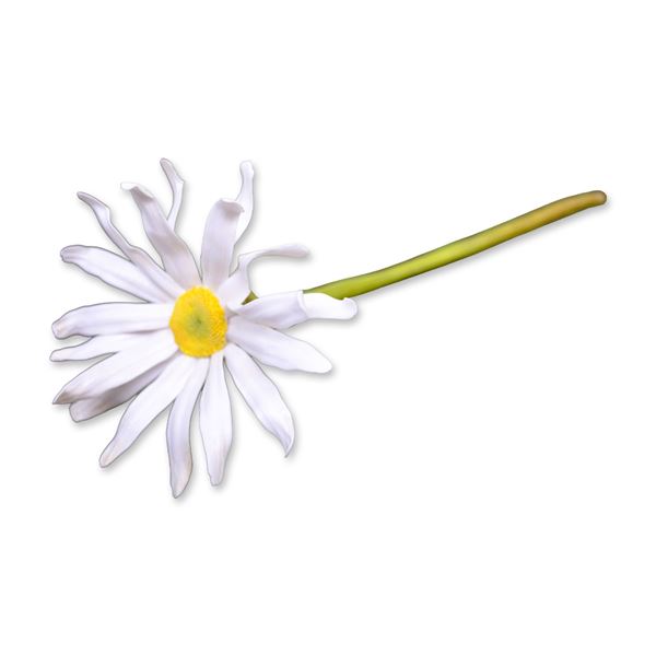 Connoisseur Porcelain Daisy Flower On Long Stem, Prototype Model, AP1