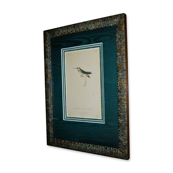 Le Sasin, Prenant Sa Troisieme Hummingbird Teillard Birds, Original HC Engraving, Custom Frame, 19th