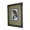 Image 1 : Griffith, Aourou Parrot, Hand Colored Engraving, Custom Frame, Circa 1811