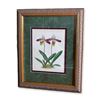 Image 1 : J. Nugent Fitch HC Orchid Floral, Cypripedium Meirax, Museum Quality Frame, 19th C