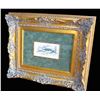 Image 5 : Lizars Fish Study HC Engraving, Centravchas Postratas, Custom Frame, 19th C