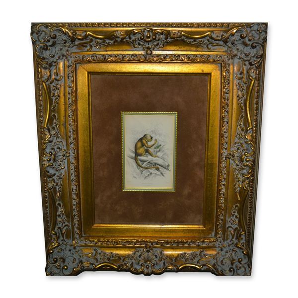 Lizars Monkey Study HC Engraving, Mycetes Vvsinus, Custom Frame, 19th C