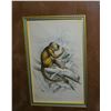 Image 2 : Lizars Monkey Study HC Engraving, Mycetes Vvsinus, Custom Frame, 19th C
