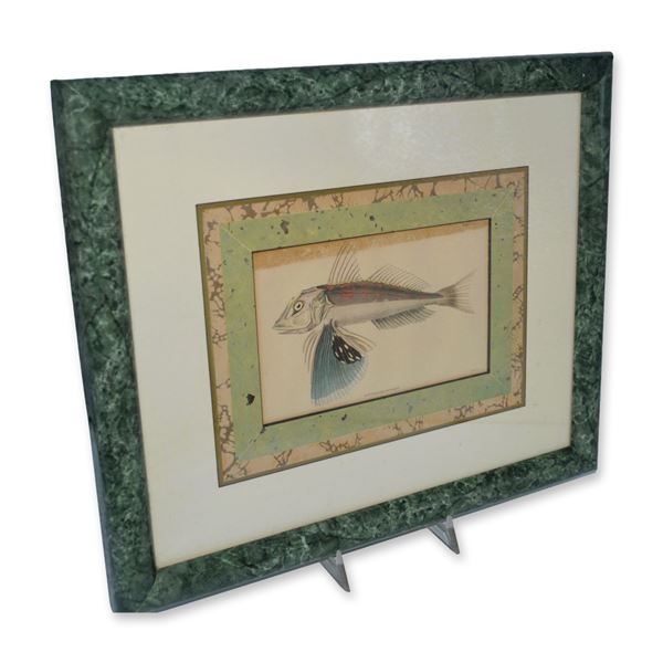Lizars New Zealand Gurnard Fish, Hand Colored Engraving, Custom Frame, 19th C.
