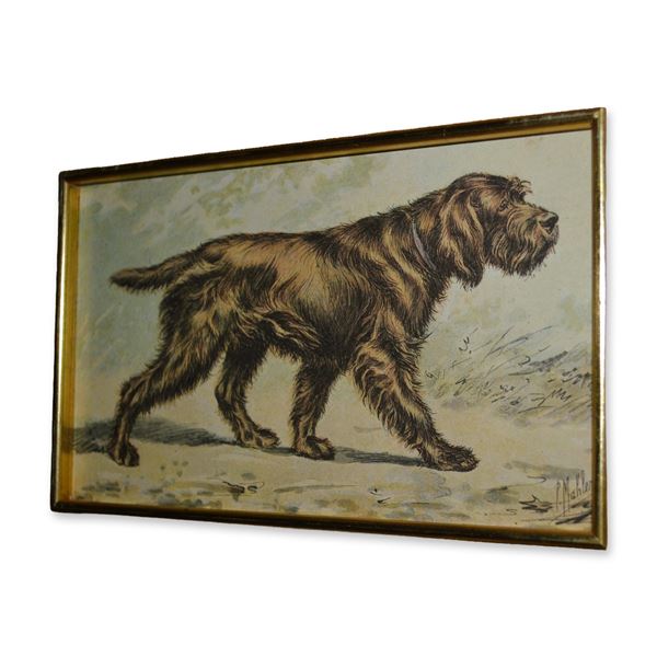 P. Mahler, The Dog, Hand Colored Engraving, Custom Frame, 19th C.