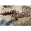 Image 3 : Post Hole Auger Attachment – Heavy Duty Hydraulic Drive, 12"