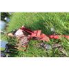 Image 6 : Trailer Style Hydraulic Wood Splitter – Honda Gas Driven, 48" Bed