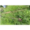 Image 8 : 10 Steel Rafters 30 Ft Long x 24"