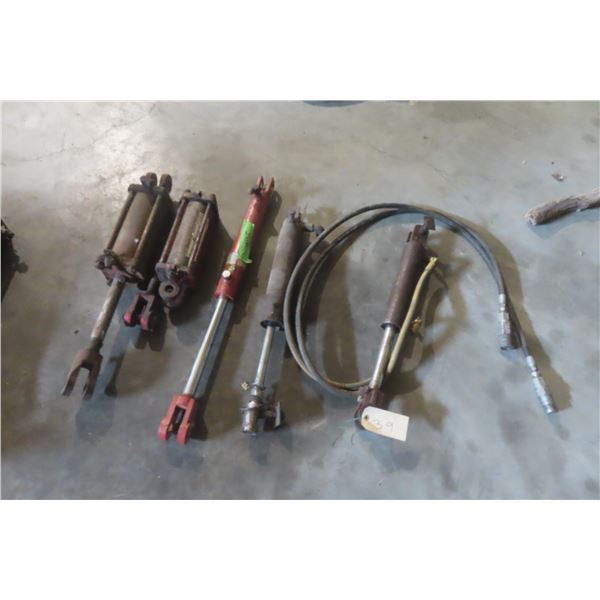 Hydraulic Pumps (1 with Hose)