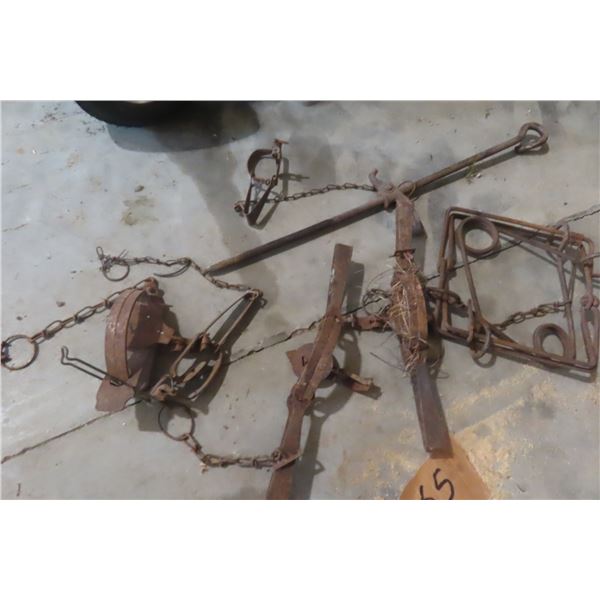 Traps: Spring, Conibear, Beaver