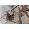 Image 2 : Traps: Spring, Conibear, Beaver