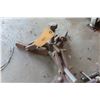 Image 4 : Heavy Duty Clamp and Gear Puller