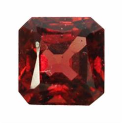 1.98ct Nice Octagon Natural Red Garnet  (GEM-18192)