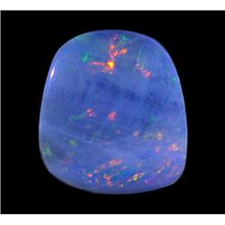 6.88ct Australian Black Opal Doublet Full Fire (GEM-22589C)