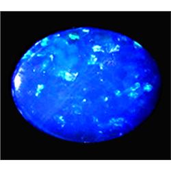 1.61ct Australian Black Opal Doublet Full Fire (GEM-22615D)