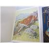 Image 6 : Lot of 4 Vintage Books NSYNC, Cats and More