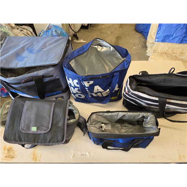 5 insulated bags