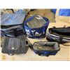 Image 1 : 5 insulated bags