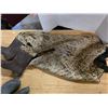 Image 2 : 2 sets of waders and boots- size 12