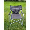 Image 4 : (2) Folding Director Camping Chairs