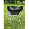Image 5 : (2) Folding Director Camping Chairs