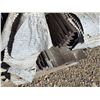 Image 5 : Assorted trim and siding- sizes vary- up to 10"W and 12'L