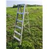 Image 1 : 6ft aluminum ladder