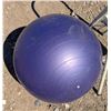 Image 2 : 24" exercise ball with two step ladder